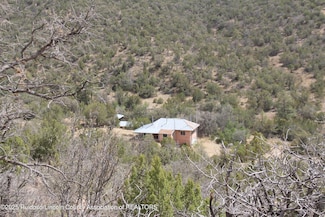 218 White Oaks Cyn Rd, White Oaks, NM 88301