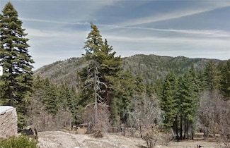 0 Deep Creek Dr, Running Springs, CA 92382