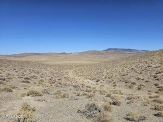 Parcel # 00920002 Whiskey Flat Mining District, Hawthorne, NV 89415