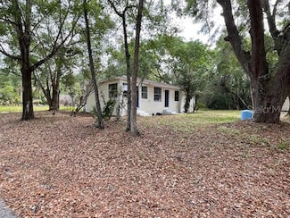 31647 Mount Plymouth Loop, Sorrento, FL 32776