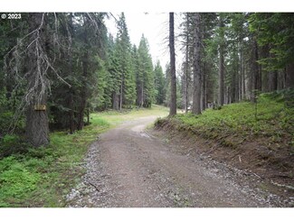 0 Giger Ln Unit 23362740, Weston, OR 97886