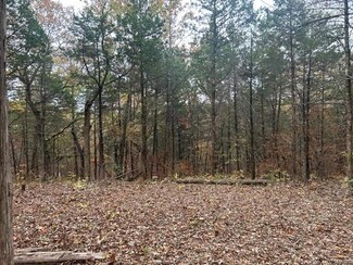 0 Rocky Ridge Dr Unit 23064738, New Florence, MO 63363