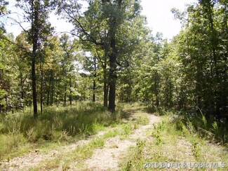 3794 W Branch Rd, MacKs Creek, MO 65786