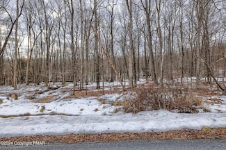 17 Pocono Mountain Lake Dr, Lehman Township, PA 18324