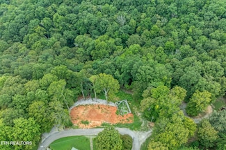 Lots 29/30 Osprey Ln, Byrdstown, TN 38549