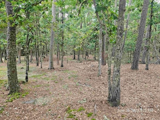 23 Fastota Ln, Hot Springs Village, AR 71909
