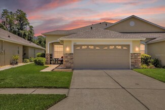 1322 Ambridge Dr, Wesley Chapel, FL 33543