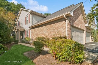 390 Alexia Ct Unit 91, Wheeling, IL 60090