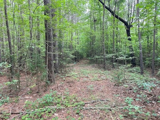 0 Bill Skinner Rd Unit LotWP002, Littleton, NC 27850