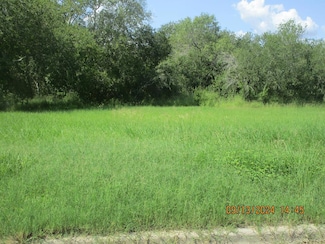 1205 Glendale, Beeville, TX 78012