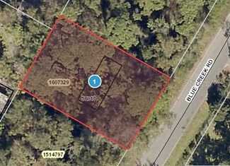 0 Blue Creek Rd Unit G5048979, Astor, FL 32102