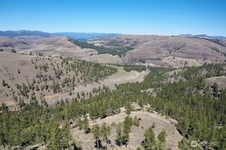 0 XXX Miles Creston Rd N, Deer Meadows, WA 99122