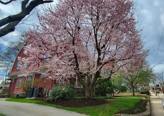 40 Hastings St, West Roxbury, MA 02132
