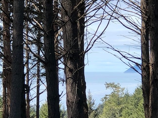 30 Fir Ct, Shelter Cove, CA 95589