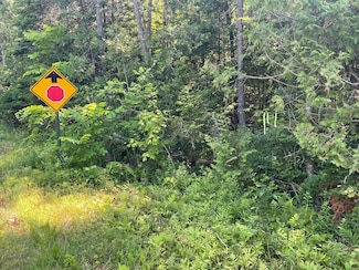 Lot 15-15 Brann Rd, Levant, ME 04456