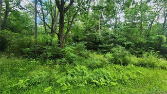 151 Heasley Hollow Rd, Burrell Township, PA 15690