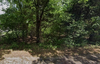 1102 Lakeview Dr, Horseshoe Bend, AR 72512