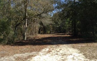 15426 93rd Dr, Live Oak, FL 32060