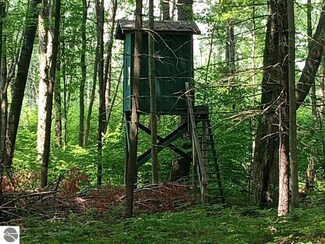 0 Michigan 65, Twining, MI 48766
