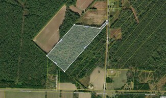 TBD County Road S-22-45, Hemingway, SC 29554