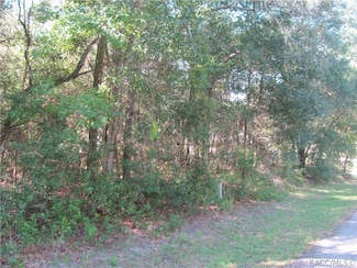 1264 E Getty Ln, Hernando, FL 34442