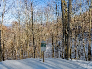 Lot 1 Mountain Gait Dr, Mars Hill, NC 28754