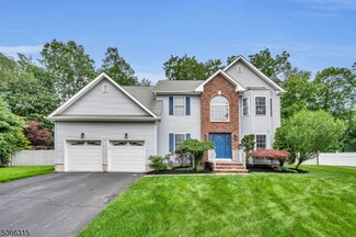 10 Rauer Ct, South Plainfield, NJ 07080