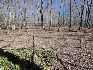 Parcel D Lobb Rd, Crystal Lake Township, MI 49635