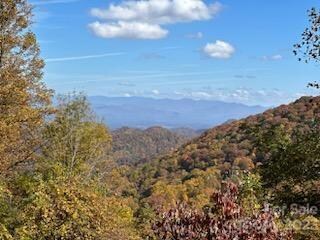 580 Freemont Dr, Leicester, NC 28748