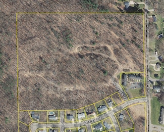 V/L East Ave N, Battle Creek, MI 49017