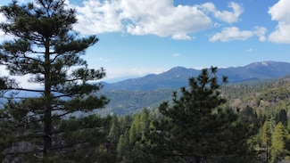 0 Green Craig Dr Unit 2010876, Idyllwild, CA 92549