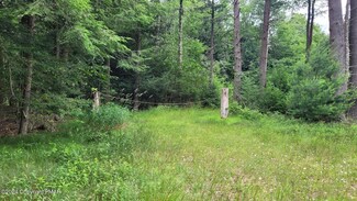 0 Pennsylvania 534, Albrightsvlle, PA 18210