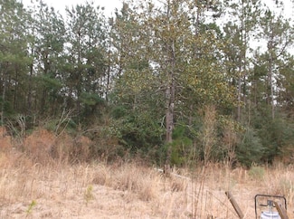 TBD Caston Rd, McComb, MS 39648
