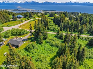 188 Tulin Terrace Blvd, Homer, AK 99603