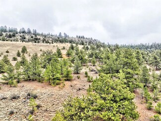 0 Cohonina Rd Unit 7294544, Hartsel, CO 80449