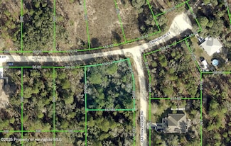 0 English Fir Ct Unit 2253429, Weeki Wachee, FL 34614