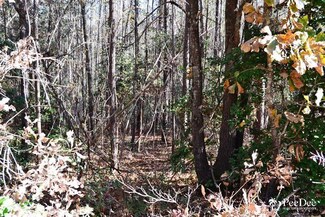 Poplar Rd, Chesterfield, SC 29709