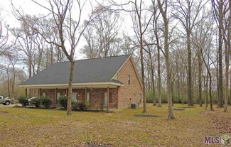 1442 Holly Dr, Slaughter, LA 70777