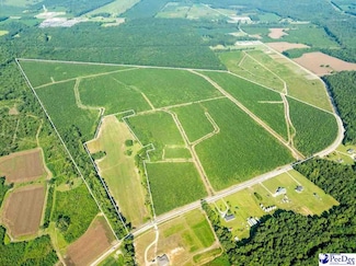 tbd Patty Rd, Cades, SC 29518