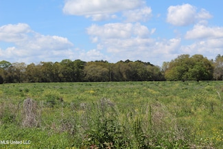 37.9 Acres Ceres Farm Rd, Lucedale, MS 39452