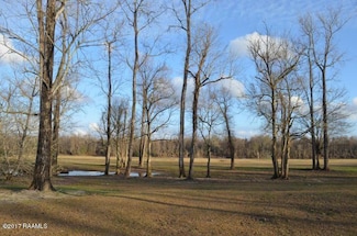 13 Callie Dr, Breaux Bridge, LA 70517