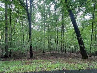 0 Ash Branch Cir Unit 152890, Hayesville, NC 28904