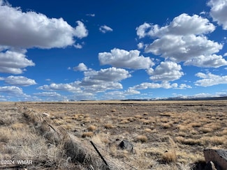 0 E Highway 60 Unit 250077, Springerville, AZ 85938