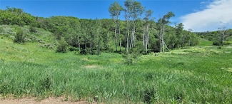 26000 Old Springs Trail, Oak Creek, CO 80467