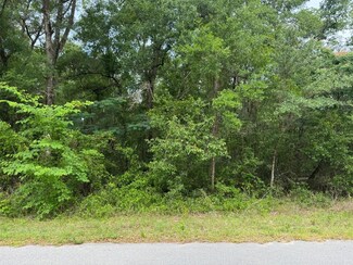 Lot 14 Channel Heights Ct, Rainbow Lakes Estates, FL 34431