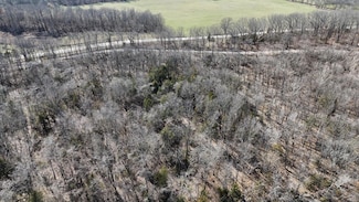 Tract 3 State Highway 38, Hartville, MO 65667