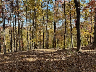 Lot2 Snidow Dr, Goodview, VA 24095