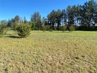 LOT 6 Nelson Rd, Chippewa Falls, WI 54729