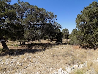 0 Mill Run Rd, Mosca, CO 81146