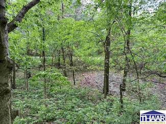 Lot #1 N Cory Staunton Rd, Posey Township, IN 47834